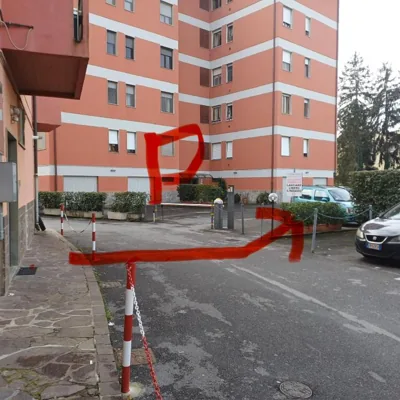 Fagiano – Photos 6